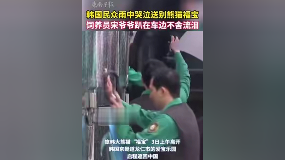 韩国民众雨中哭泣送别熊猫福宝,饲养员爷爷趴在车边不舍流泪