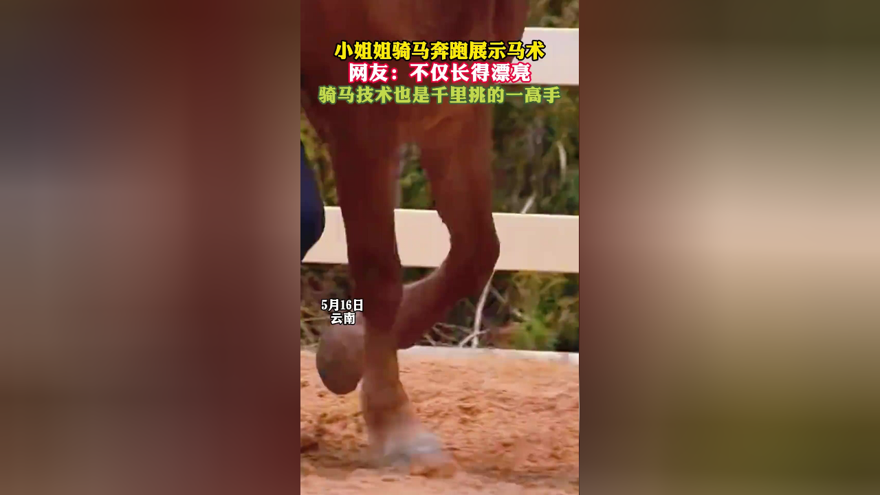 小姐姐骑马奔跑展示马术,网友:不仅长得漂亮,骑马技术也是千里挑的一