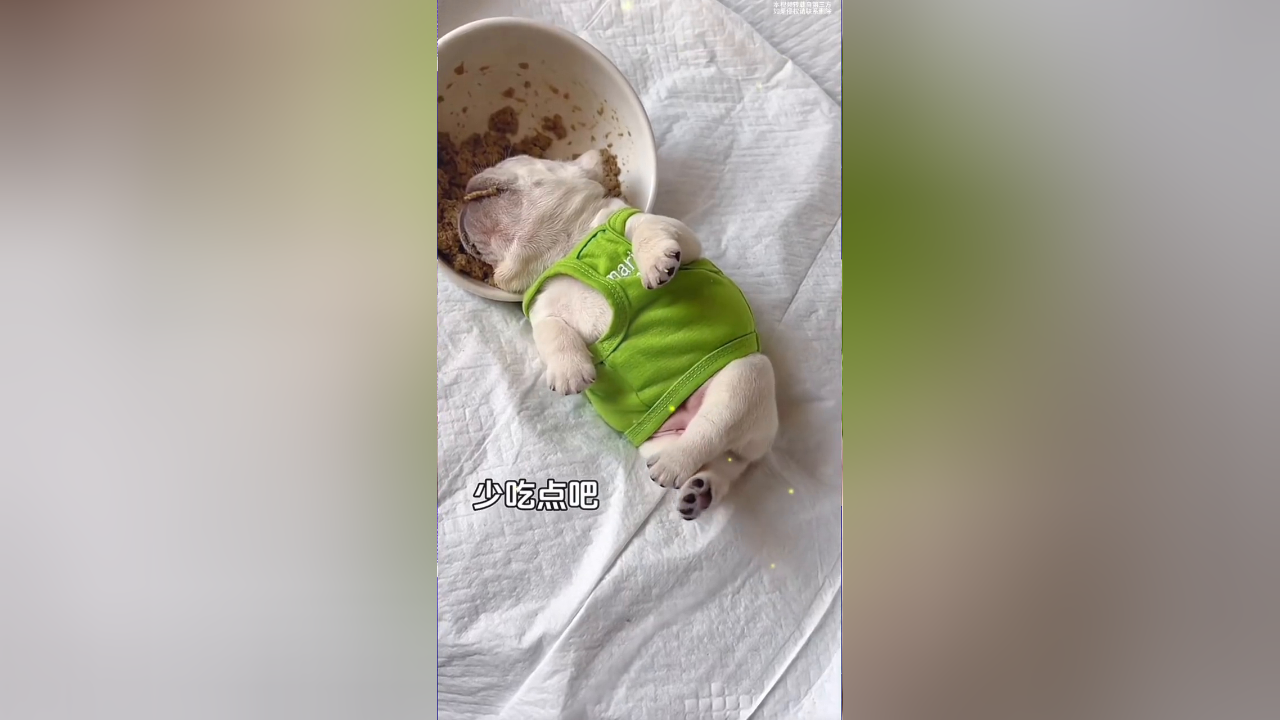 快起来再干五斤,要不然一会不吃东西就低血糖了