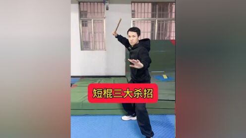 短棍十二招技法图片