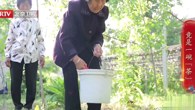 打卡养生宝藏地之湖北钟祥高光片段