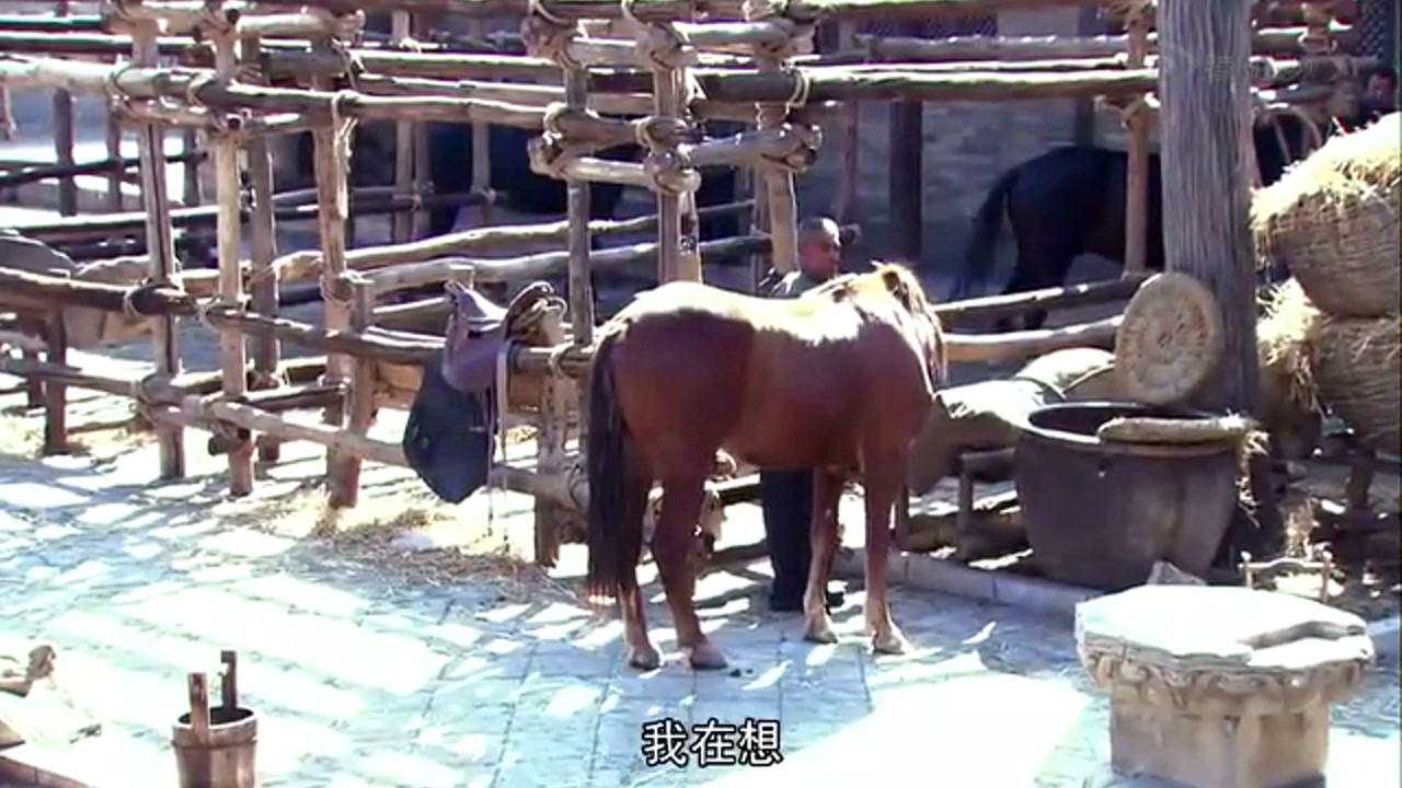 黄金背后 9集