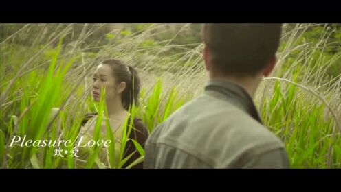 欢爱pleasurelove电影