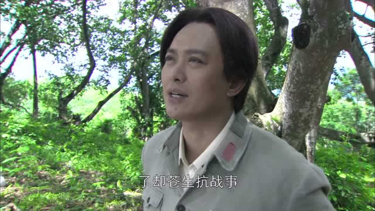 东方战场 12集