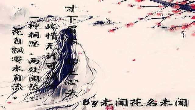 李清照《一剪梅》_腾讯视频