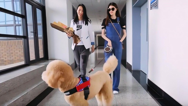 未播花絮:何穗回归母校 熊吉实力圈粉萌化老师