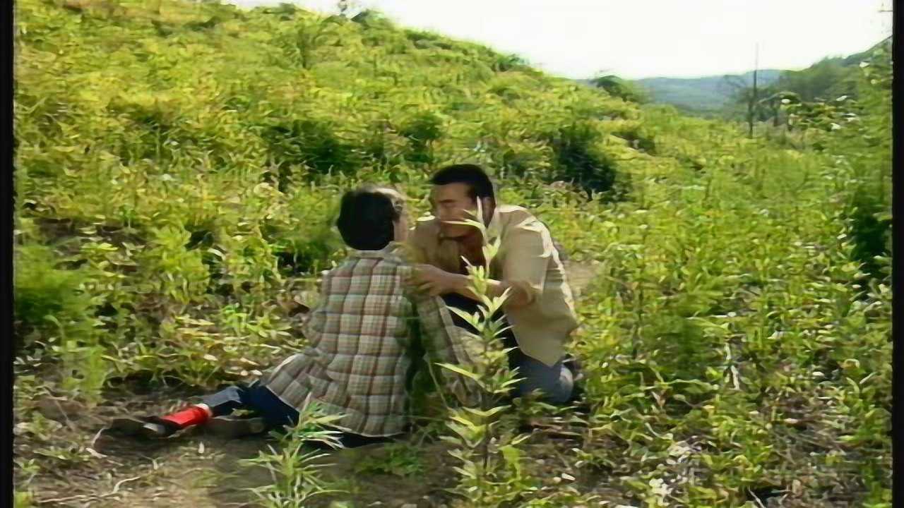 女人不是月亮 9集