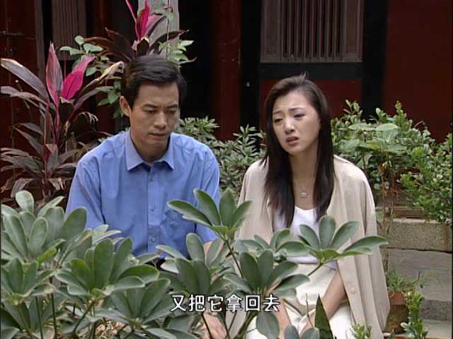 闽南名流世家 13集