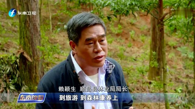 福建:大胆改深入试 探索生态文明建设新模式