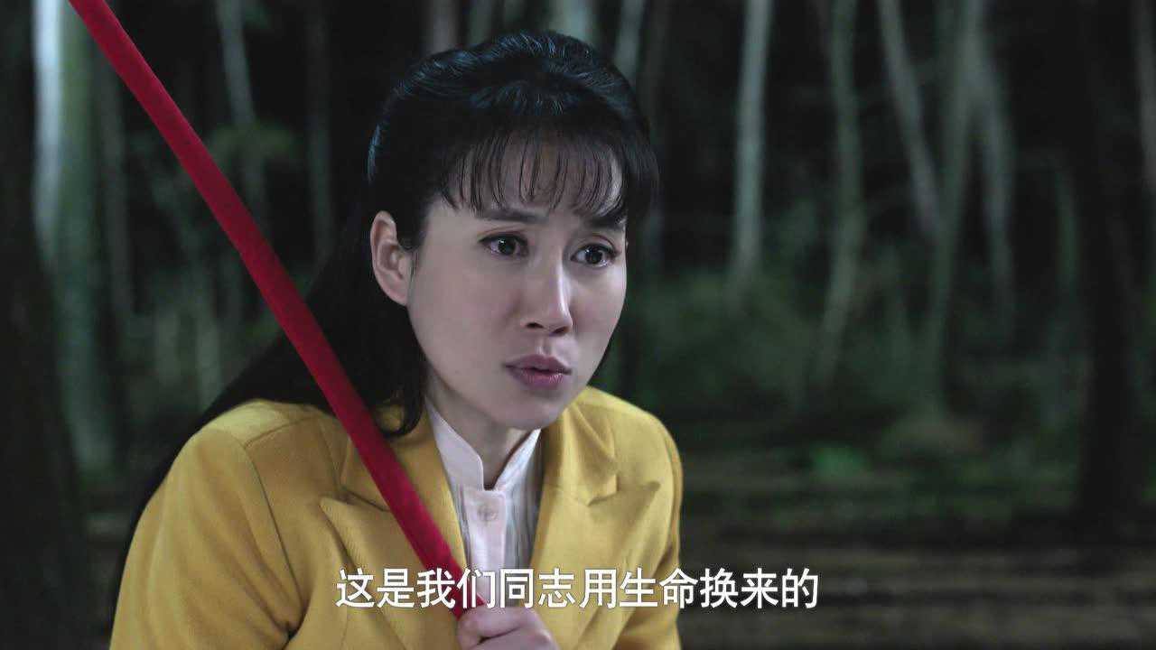 边陲迷雾 14集