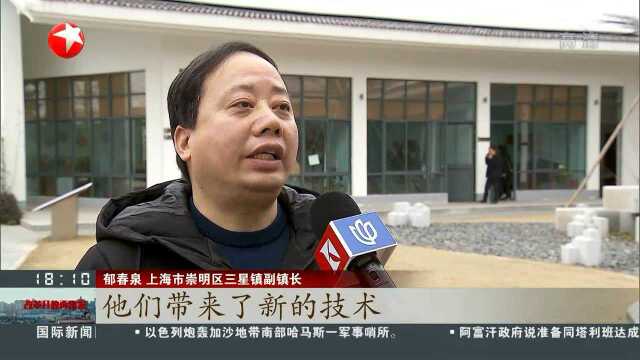 上海:激发“三块地”活力 促进农业增效农民增收