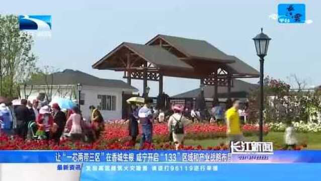 让“一芯两带三区”在香城生根 咸宁开启“133”区域和产业战略布局