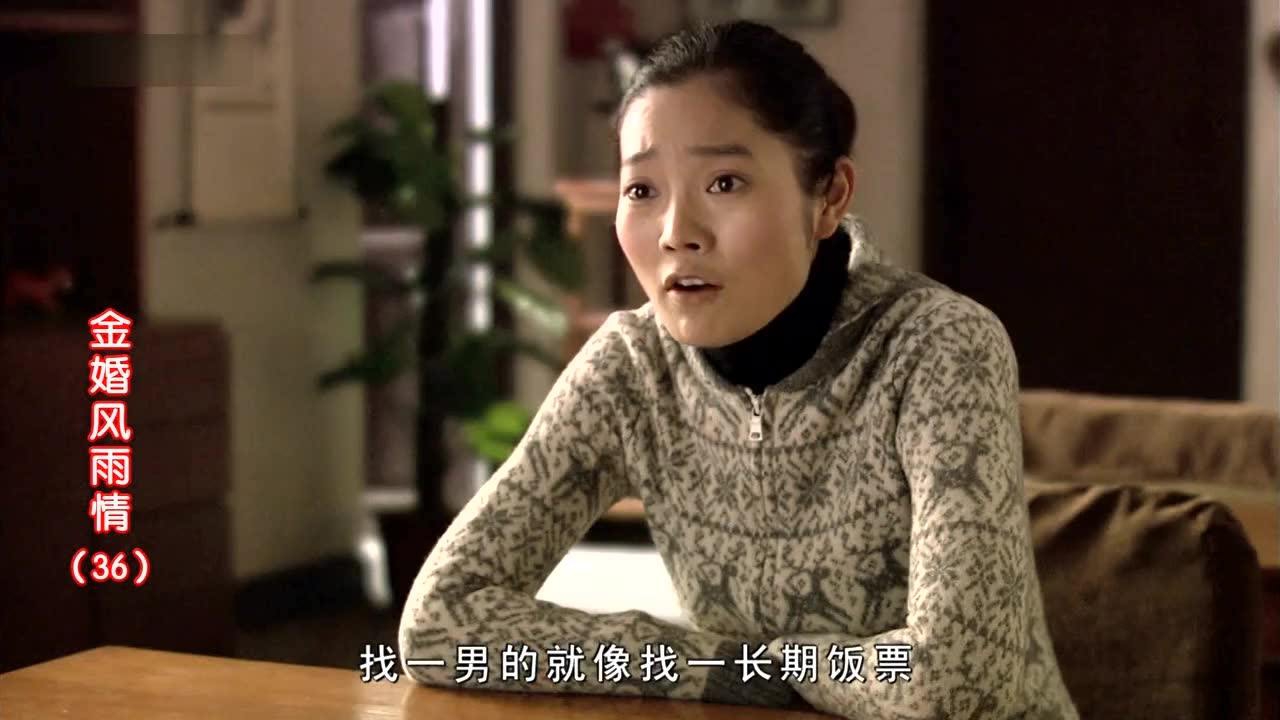 金婚风雨情 36集
