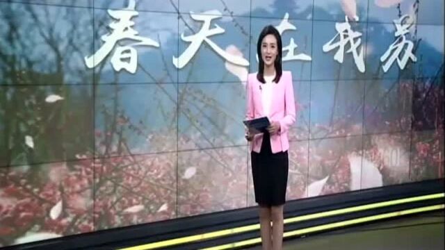 中国杜鹃园