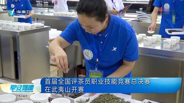 首届全国评茶员职业技能竞赛总决赛在武夷山开赛