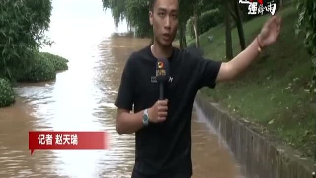 迎战强降雨:橘子洲洲头被淹没 景区紧急闭园