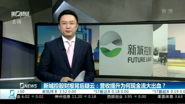 新城控股财报背后疑云:营收提升为何现金流大出血?