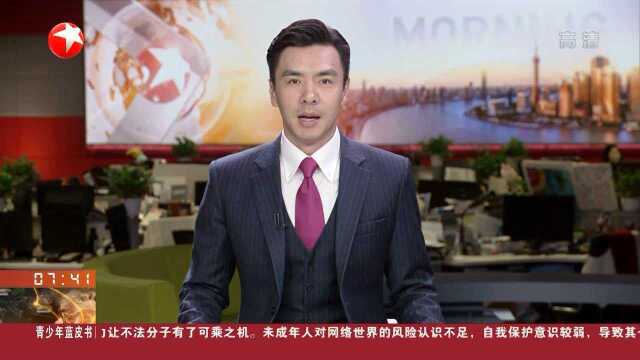 32.8万! 特斯拉公布国产版Model 3售价