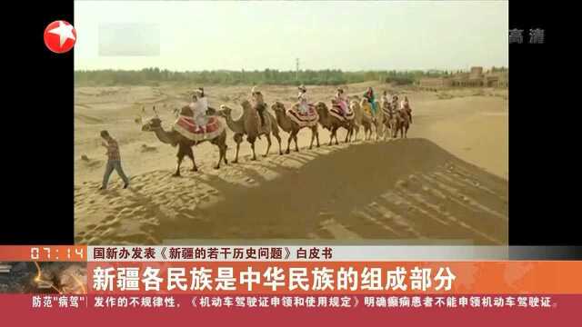 国新办发表《新疆的若干历史问题》白皮书