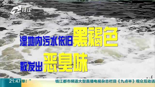 治污还是排污?(三):氨氮和总磷等检测数据超标 针对污水溢流浦江正在整改