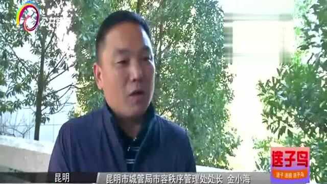 昆明首批共享助力车即将投放