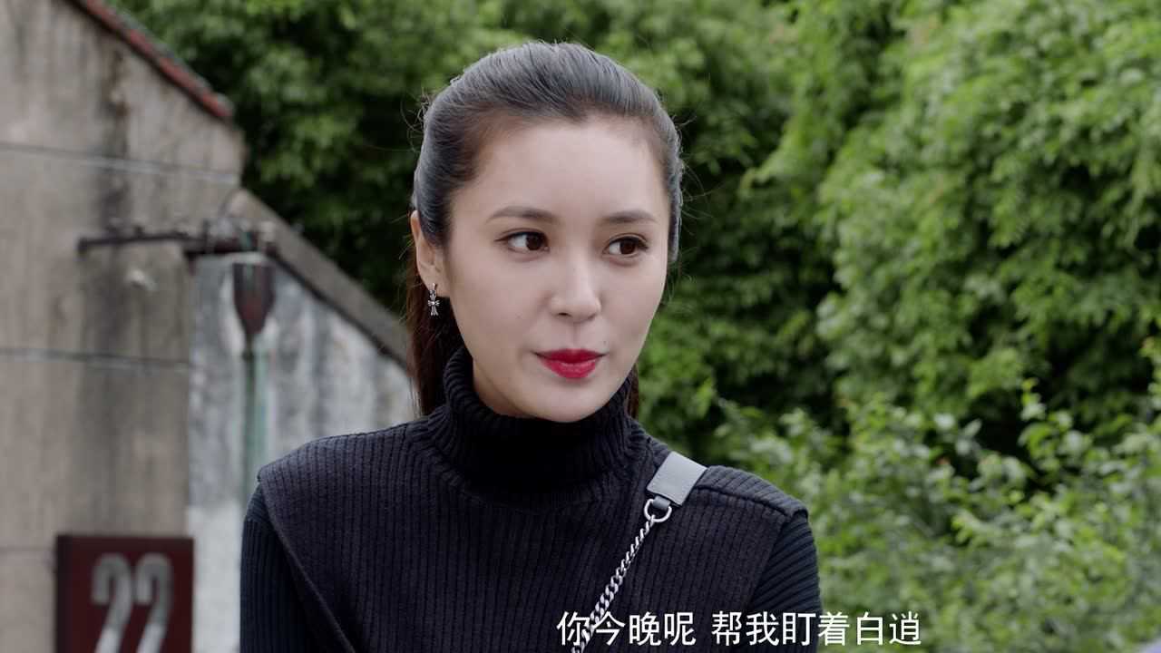 白狐的人生 8集