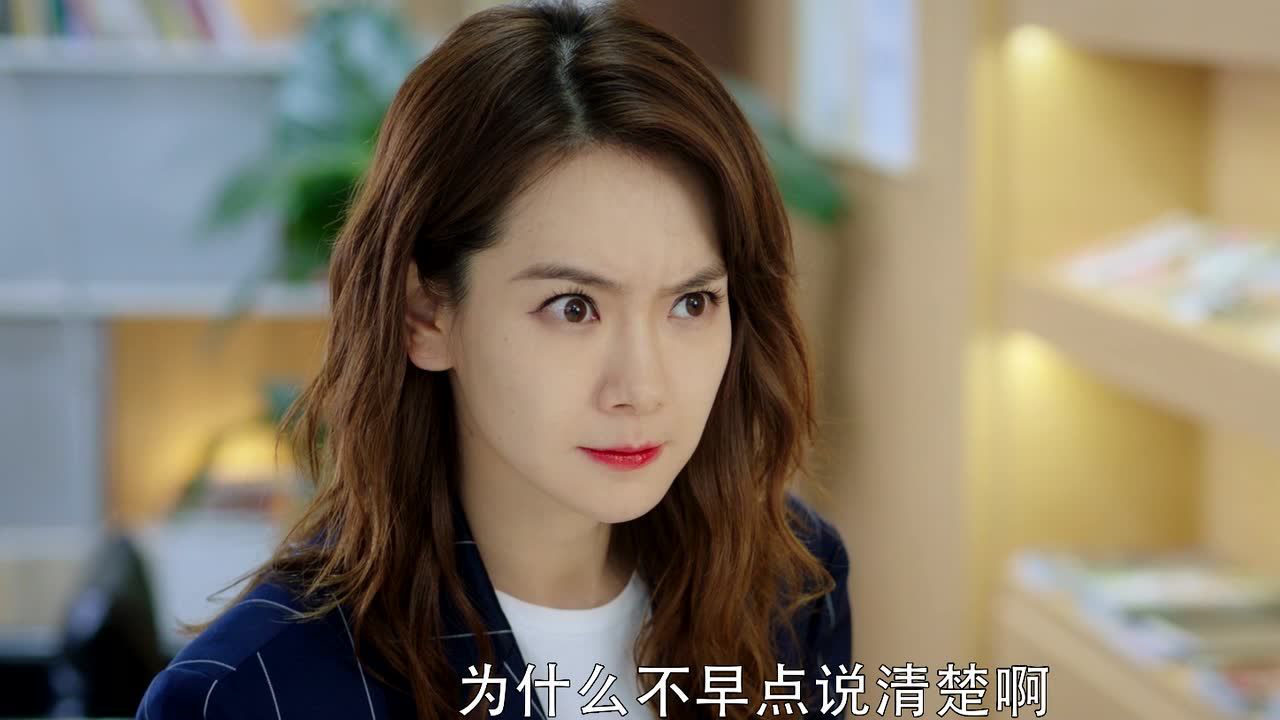 没有秘密的你 15集