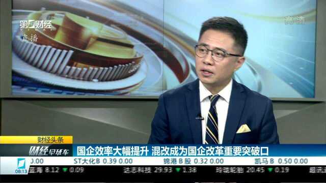 陆红军:国有企业改革实现了横向 纵向 专业化整合