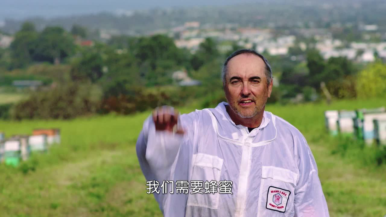 甜饼怪大卡车 13集