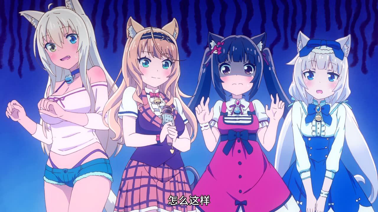 猫娘乐园 11集