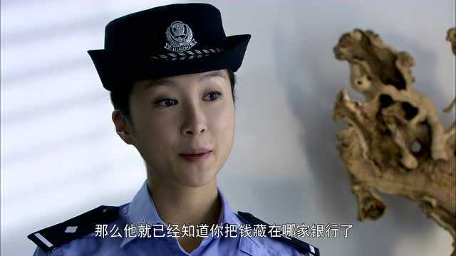 迷局之拨云见日 12集