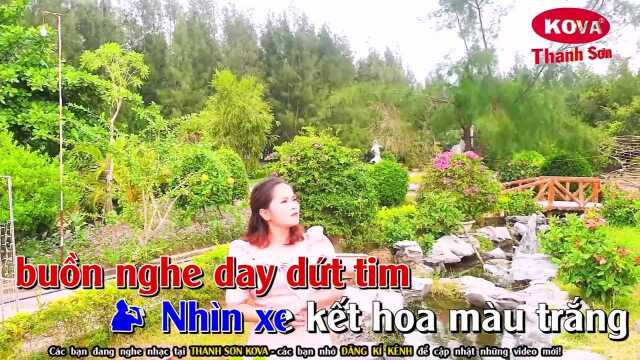 Sầu T㭭 Thiệp Hồng  Song Ca