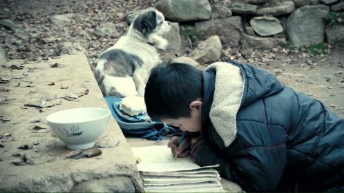 念书的孩子精彩片段