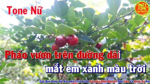 Hai Kỷ Niệm Một Chuyến 䐩  Tone Nữ