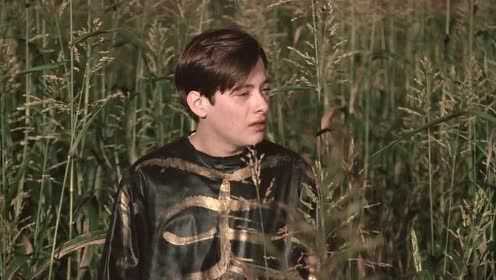 草竖琴_电影_高清1080p在线观看平台_腾讯视频