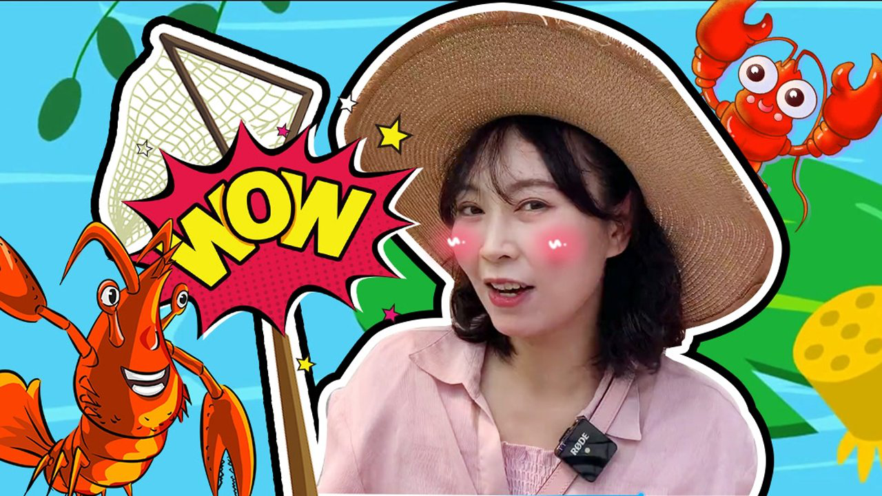 奇探队长：农场劳动季 17集