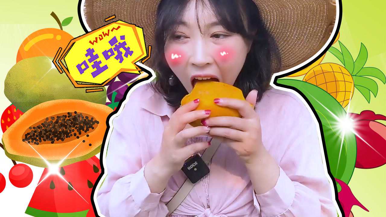奇探队长：农场劳动季 16集