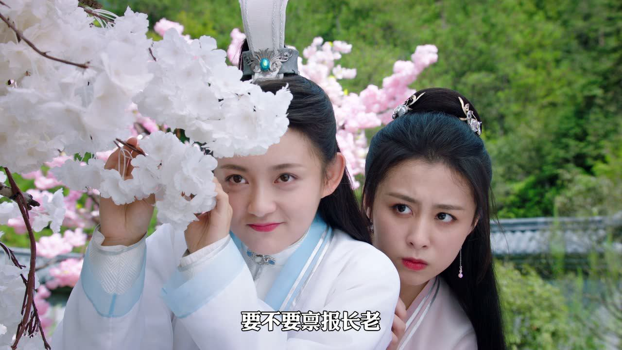 师兄请按剧本来 10集