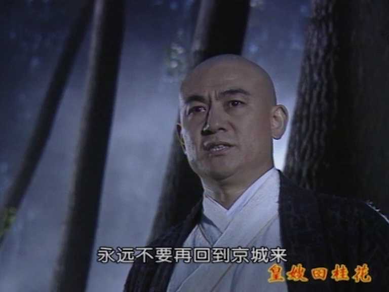 皇嫂田桂花2 3集
