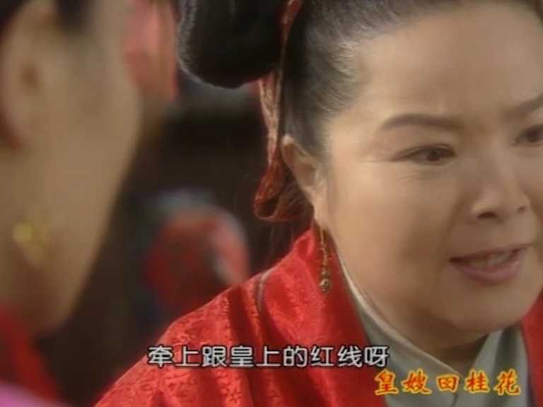 皇嫂田桂花2 23集