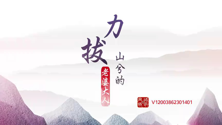 力拔山兮的老婆大人 20集