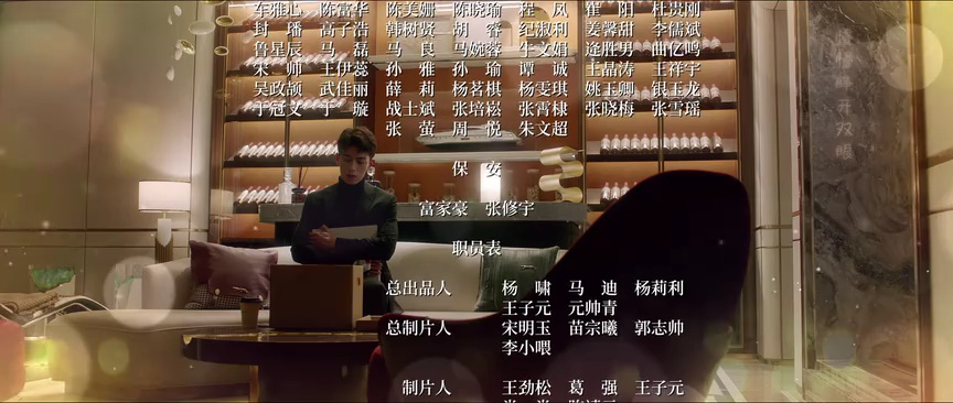 突然降临的楚先生 15集
