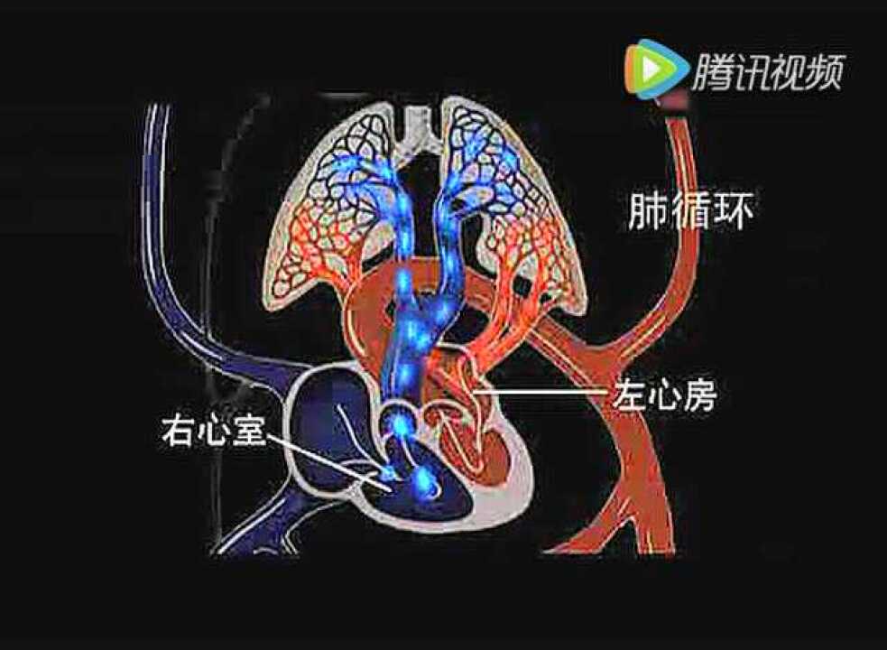 【Facebook教學】如何檢視看過的貼文和互動紀錄(按讚、留言、分享、影片)