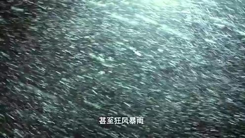 “大自然在说话”第二季陈冲中文版《天空》正片
