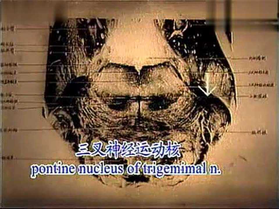 _高清1080P在线观看平台_腾讯视频