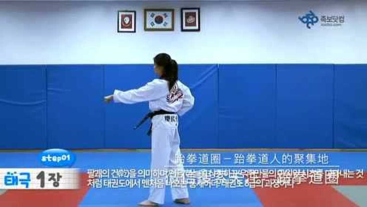 1太极一章分解教程18个动作_高清