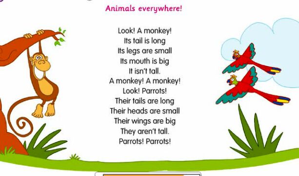 song--animals everywhere_腾讯视频