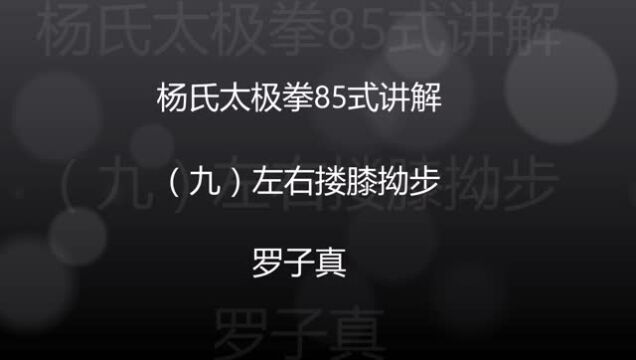 楊氏太極拳85式講解九左右摟膝拗步