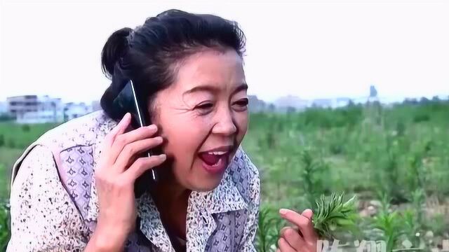 陈翔六点半大妈演技太好了