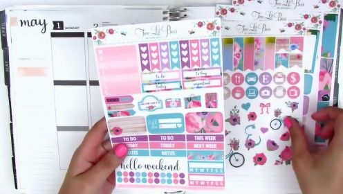 【PlanningPeep】Plan with Me: hand book